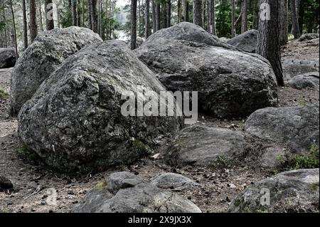 Große Steinblöcke in einem tiefen Wald in Finnland Stockfoto