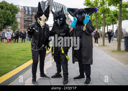 Japan-Tag in Düsseldorf vom 01.06. - 02.06.24 Cosplayer auf der Rheinuferpromenade. Foto: Kirchner-Media/TH *** Japan Day in Düsseldorf vom 01 06 02 06 24 Cosplayer an der Rheinpromenade Foto Kirchner Media TH Copyright: Kirchner-Media Stockfoto