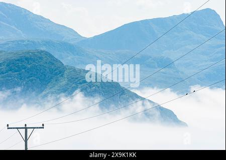 Ein Foto von einem Stromleitungsposten mit mehreren Drähten, die über einer nebeligen Landschaft in den schottischen Highlands durch die Luft verlaufen. Die Berge sind schro Stockfoto