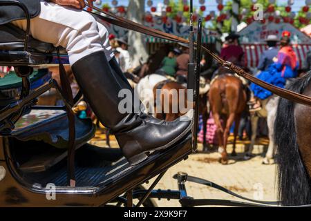 Nahaufnahme einer Pferdekutsche, eines Kutschers, eines Kutschfahrers, eines Pferdekutschenfahrers, der auf der Aprilmesse von Sevilla mit nicht erkennbaren Pferden reitet. Stockfoto