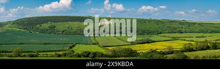 Die Figur des Osmington White Horse Hill aus dem Jahr 1808 befindet sich in der Nähe von Weymouth, Dorset Stockfoto