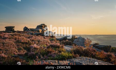 Surprise View, Peak District, Großbritannien - 2023: Lila Heidekraut blüht an einem sonnigen Septembernachmittag im Peak District zwischen den Felsvorsprüngen Stockfoto