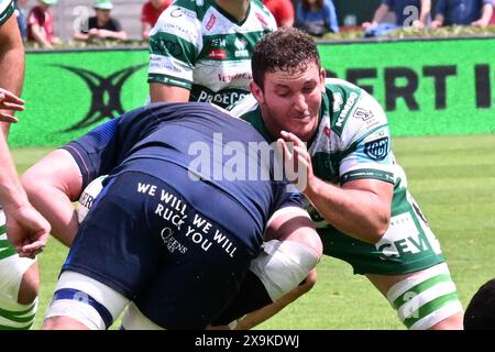 Treviso, Italien. Juni 2024. Bilder des URC-Spiels zwischen BENETTON RUGBY und Edinburgh Rugby im Monigo Stadium, Italien am 1. Juni 2024 während Benetton Rugby vs Edinburgh Rugby, United Rugby Championship Match in Treviso, Italien, 01. Juni 2024 Credit: Independent Photo Agency/Alamy Live News Stockfoto