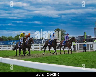 Epsom, Surrey, Großbritannien. Juni 2024. Jockeys kehren nach dem Betfred Derby zu ihren Besitzern und Sportlern zurück und laufen über eine Meile und vier Furlongs auf der legendären Rennbahn Epsom Downs. Quelle: Motofoto/Alamy Live News Stockfoto