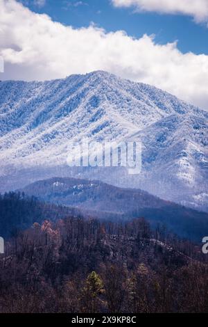 Schnee in den Great Smoky Mountains in Sevierville TN. Stockfoto