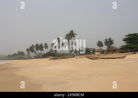 Reihen von hohen Palmen säumen einen unberührten Strand und bilden ein natürliches Baldachin über dem goldenen Sand. Der Strand erstreckt sich unter einem Hektar in die Ferne Stockfoto