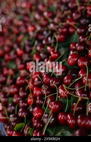 Frische junge Kirschen auf dem Tresen eines türkischen Basars Stockfoto