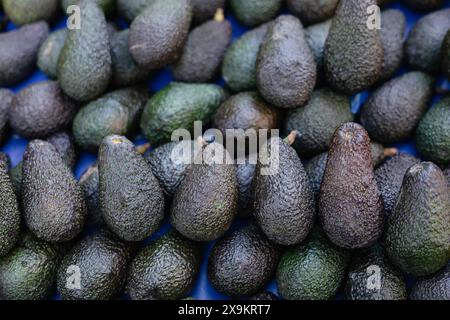 Wunderschöne frische Avocados an einem Marktstand Stockfoto