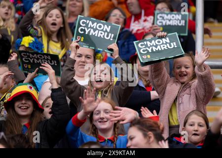 LLANELLI, GROSSBRITANNIEN. 31. Mai 2024. Walisische Fans beim Qualifikationsspiel der UEFA Women's Euro 2025 in der Liga B zwischen walisischen Frauen und ukrainischen Frauen im Parc y Scarlets in Llanelli am 31. Mai 2024. (Bild von Ashley Crowden/FAW) Credit: Football Association of Wales/Alamy Live News Stockfoto