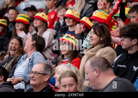 LLANELLI, GROSSBRITANNIEN. 31. Mai 2024. Walisische Fans beim Qualifikationsspiel der UEFA Women's Euro 2025 in der Liga B zwischen walisischen Frauen und ukrainischen Frauen im Parc y Scarlets in Llanelli am 31. Mai 2024. (Bild von Ashley Crowden/FAW) Credit: Football Association of Wales/Alamy Live News Stockfoto