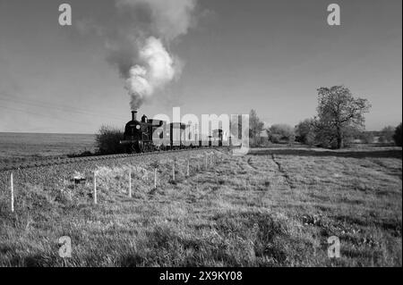 '30053' und ein kurzer Güterzug. Hier in der Nähe der Wittersham Road. Stockfoto