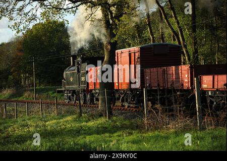 '30053' und ein kurzer Güterzug. Hier in der Nähe der Wittersham Road. Stockfoto