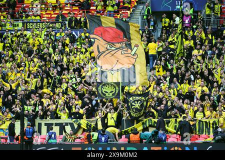 London, Großbritannien. Juni 2024. Die Dortmunder Fans jubeln beim Champions League-Finale 2023/2024 zwischen Borussia Dortmund und Real Madri CF im Wembley-Stadion in London (England) am 1. Juni 2024 an. Quelle: Insidefoto di andrea staccioli/Alamy Live News Stockfoto