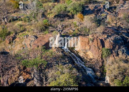 Kunene River, Wasserfall und afrikanischer Baobab (Adansonia digitata), im Abendlicht, Epupa Falls, Kunene, Namibia Stockfoto