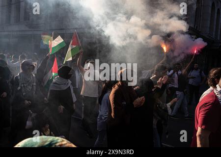 Istanbul, Türkei. Juni 2024. Demonstranten wurden mit palästinensischen Fahnen im Rauch der Fackeln gesehen. Demonstranten versammelten sich auf dem Beyazit-Platz, um gegen Israels Angriffe auf Palästina zu protestieren, marschierten zum Hagia-Sophia-Platz und skandierten Parolen. (Foto: Onur Dogman/SOPA Images/SIPA USA) Credit: SIPA USA/Alamy Live News Stockfoto