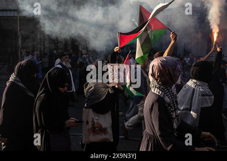 Istanbul, Türkei. Juni 2024. Demonstranten wurden mit palästinensischen Fahnen im Rauch der Fackeln gesehen. Demonstranten versammelten sich auf dem Beyazit-Platz, um gegen Israels Angriffe auf Palästina zu protestieren, marschierten zum Hagia-Sophia-Platz und skandierten Parolen. (Foto: Onur Dogman/SOPA Images/SIPA USA) Credit: SIPA USA/Alamy Live News Stockfoto