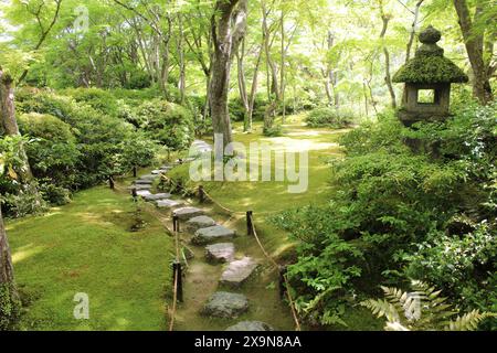 Frisches Grün im Okochi-sanso Garden, Kyoto, Japan Stockfoto