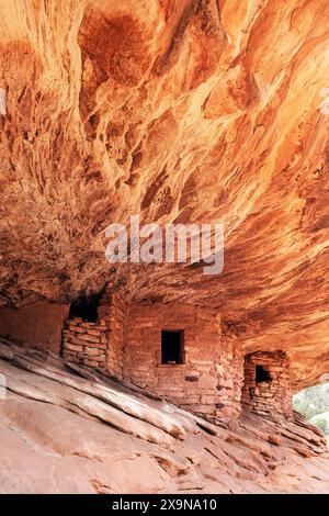 Haus auf der Feuerruine, South Fork des Mule Canyon, Cedar Mesa, Bears Ears National Monument, Utah Stockfoto