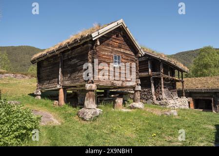 Das Nordfjord Museum of Cultural History verfügt über eine Reihe erhaltener hölzerner Objekte aus einer anderen Zeit, von denen viele über Grasdächer verfügen. Stockfoto