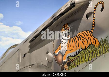 Flugzeug im Museum of Flight in Seattle, Washington Stockfoto