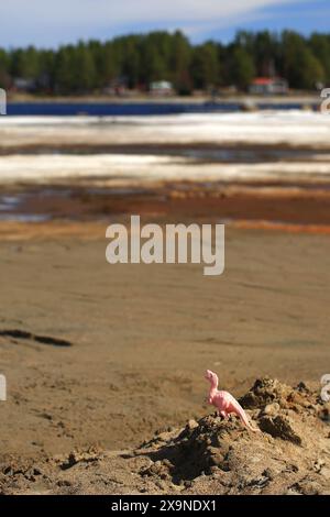 Pinkfarbener Spielzeugdinosaurier an der nördlichen ostseeküste mit Schnee in Boviken, Schweden. Stockfoto