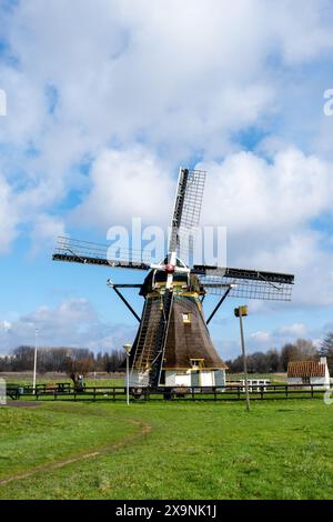 Niederlande alte Holzwindmühle in Westland am blauen Himmel und mit grünem Gras, typisch holländische Natur. Stockfoto