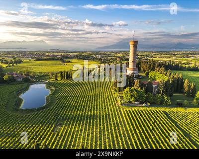 Blick aus der Vogelperspektive auf den Turm San Martino della Battaglia, umgeben von Weingärten und dem Gardasee im Hintergrund, San Martino della Battaglia Stockfoto