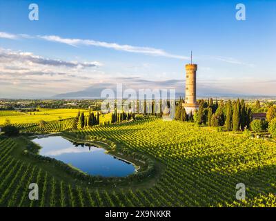 Blick aus der Vogelperspektive auf den Turm San Martino della Battaglia, umgeben von Weingärten und dem Gardasee im Hintergrund, San Martino della Battaglia Stockfoto