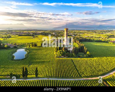 Blick aus der Vogelperspektive auf den Turm San Martino della Battaglia, umgeben von Weingärten und dem Gardasee im Hintergrund, San Martino della Battaglia Stockfoto