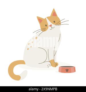 Vector Flat Orange und White Cat mit Haustierschale. Weiße und Ginger Cartoon Cat Icon isoliert. Süße und lustige Katze in Vorderansicht Stock Vektor