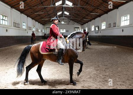 19. Mai 2024, Mafra, Portugal - Wettbewerb in der Militärakademie - Mann im roten Mantel reitet auf einem braunen Pferd in einem großen, leeren Gebäude Stockfoto