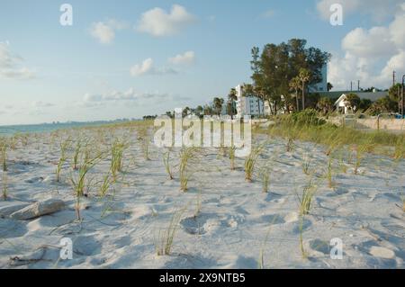 Weitwinkelblick auf den Pass-a-Grille Strand in St. Pete Beach Florida mit Blick nach Norden über grüne Meereshafer und Sand. Wellen im Wasser, nahe Sonnenuntergang mit Blau Stockfoto