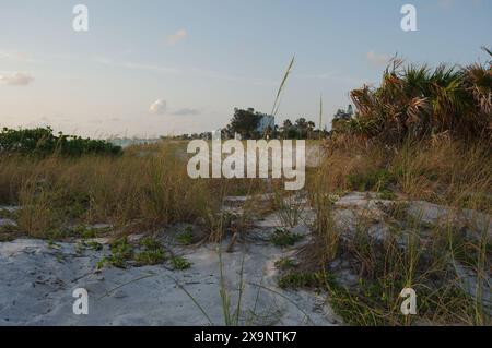 Weitwinkelblick auf den Pass-a-Grille Strand in St. Pete Beach Florida mit Blick nach Norden über grüne Meereshafer und Sand. Wellen im Wasser, nahe Sonnenuntergang mit Blau Stockfoto