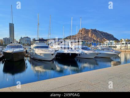 Boote im Yachthafen von Alicante mit Schloss Santa Barbara dahinter Stockfoto