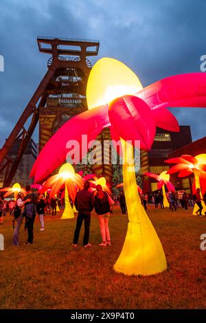 Extraschicht, die lange Nacht der Industriekultur, Kulturfest quer durch das Ruhrgebiet, 35 Spielorte in 19 Städten, hier Leuchtende Blumen Illumination an der Zeche Zollverein in Essen, Doppelbock Fördergerüst Schacht 12, NRW, Deutschland, Extraschicht Zollverein *** Extraschicht, die lange Nacht der Industriekultur, Kulturfestival im Ruhrgebiet, 35 Veranstaltungsorte in 19 Städten, hier leuchtende Blumen in der Zeche Zollverein in Essen, Doppelbock Pithead Wickelturm Schacht 12, NRW, Deutschland, Extraschicht Zollverein Stockfoto