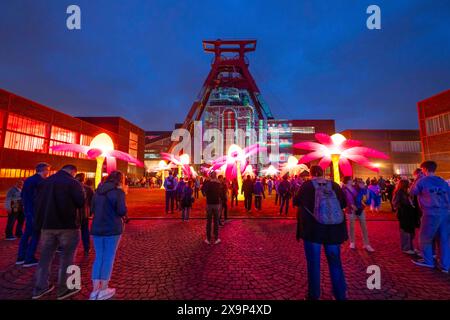 Extraschicht, die lange Nacht der Industriekultur, Kulturfest quer durch das Ruhrgebiet, 35 Spielorte in 19 Städten, hier Leuchtende Blumen Illumination an der Zeche Zollverein in Essen, Doppelbock Fördergerüst Schacht 12, NRW, Deutschland, Extraschicht Zollverein *** Extraschicht, die lange Nacht der Industriekultur, Kulturfestival im Ruhrgebiet, 35 Veranstaltungsorte in 19 Städten, hier leuchtende Blumen in der Zeche Zollverein in Essen, Doppelbock Pithead Wickelturm Schacht 12, NRW, Deutschland, Extraschicht Zollverein Stockfoto