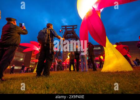 Extraschicht, die lange Nacht der Industriekultur, Kulturfest quer durch das Ruhrgebiet, 35 Spielorte in 19 Städten, hier Leuchtende Blumen Illumination an der Zeche Zollverein in Essen, Doppelbock Fördergerüst Schacht 12, NRW, Deutschland, Extraschicht Zollverein *** Extraschicht, die lange Nacht der Industriekultur, Kulturfestival im Ruhrgebiet, 35 Veranstaltungsorte in 19 Städten, hier leuchtende Blumen in der Zeche Zollverein in Essen, Doppelbock Pithead Wickelturm Schacht 12, NRW, Deutschland, Extraschicht Zollverein Stockfoto