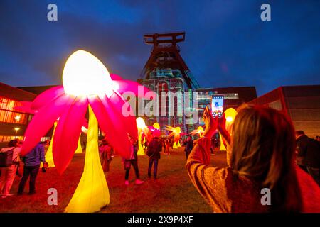 Extraschicht, die lange Nacht der Industriekultur, Kulturfest quer durch das Ruhrgebiet, 35 Spielorte in 19 Städten, hier Leuchtende Blumen Illumination an der Zeche Zollverein in Essen, Doppelbock Fördergerüst Schacht 12, NRW, Deutschland, Extraschicht Zollverein *** Extraschicht, die lange Nacht der Industriekultur, Kulturfestival im Ruhrgebiet, 35 Veranstaltungsorte in 19 Städten, hier leuchtende Blumen in der Zeche Zollverein in Essen, Doppelbock Pithead Wickelturm Schacht 12, NRW, Deutschland, Extraschicht Zollverein Stockfoto