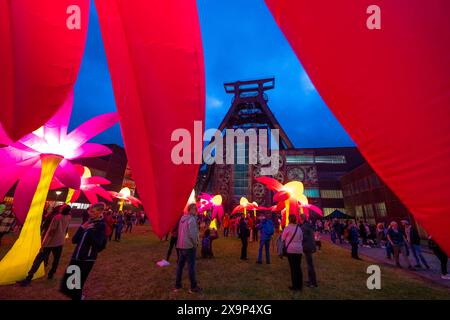 Extraschicht, die lange Nacht der Industriekultur, Kulturfest quer durch das Ruhrgebiet, 35 Spielorte in 19 Städten, hier Leuchtende Blumen Illumination an der Zeche Zollverein in Essen, Doppelbock Fördergerüst Schacht 12, NRW, Deutschland, Extraschicht Zollverein *** Extraschicht, die lange Nacht der Industriekultur, Kulturfestival im Ruhrgebiet, 35 Veranstaltungsorte in 19 Städten, hier leuchtende Blumen in der Zeche Zollverein in Essen, Doppelbock Pithead Wickelturm Schacht 12, NRW, Deutschland, Extraschicht Zollverein Stockfoto