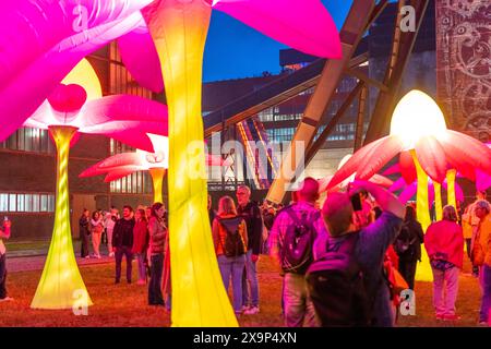 Extraschicht, die lange Nacht der Industriekultur, Kulturfest quer durch das Ruhrgebiet, 35 Spielorte in 19 Städten, hier Leuchtende Blumen Illumination an der Zeche Zollverein in Essen, Doppelbock Fördergerüst Schacht 12, NRW, Deutschland, Extraschicht Zollverein *** Extraschicht, die lange Nacht der Industriekultur, Kulturfestival im Ruhrgebiet, 35 Veranstaltungsorte in 19 Städten, hier leuchtende Blumen in der Zeche Zollverein in Essen, Doppelbock Pithead Wickelturm Schacht 12, NRW, Deutschland, Extraschicht Zollverein Stockfoto