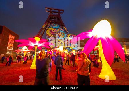 Extraschicht, die lange Nacht der Industriekultur, Kulturfest quer durch das Ruhrgebiet, 35 Spielorte in 19 Städten, hier Leuchtende Blumen Illumination an der Zeche Zollverein in Essen, Doppelbock Fördergerüst Schacht 12, NRW, Deutschland, Extraschicht Zollverein *** Extraschicht, die lange Nacht der Industriekultur, Kulturfestival im Ruhrgebiet, 35 Veranstaltungsorte in 19 Städten, hier leuchtende Blumen in der Zeche Zollverein in Essen, Doppelbock Pithead Wickelturm Schacht 12, NRW, Deutschland, Extraschicht Zollverein Stockfoto