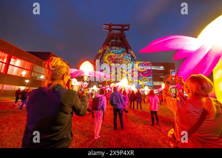 Extraschicht, die lange Nacht der Industriekultur, Kulturfest quer durch das Ruhrgebiet, 35 Spielorte in 19 Städten, hier Leuchtende Blumen Illumination an der Zeche Zollverein in Essen, Doppelbock Fördergerüst Schacht 12, NRW, Deutschland, Extraschicht Zollverein *** Extraschicht, die lange Nacht der Industriekultur, Kulturfestival im Ruhrgebiet, 35 Veranstaltungsorte in 19 Städten, hier leuchtende Blumen in der Zeche Zollverein in Essen, Doppelbock Pithead Wickelturm Schacht 12, NRW, Deutschland, Extraschicht Zollverein Stockfoto