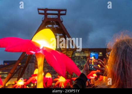 Extraschicht, die lange Nacht der Industriekultur, Kulturfest quer durch das Ruhrgebiet, 35 Spielorte in 19 Städten, hier Leuchtende Blumen Illumination an der Zeche Zollverein in Essen, Doppelbock Fördergerüst Schacht 12, NRW, Deutschland, Extraschicht Zollverein *** Extraschicht, die lange Nacht der Industriekultur, Kulturfestival im Ruhrgebiet, 35 Veranstaltungsorte in 19 Städten, hier leuchtende Blumen in der Zeche Zollverein in Essen, Doppelbock Pithead Wickelturm Schacht 12, NRW, Deutschland, Extraschicht Zollverein Stockfoto