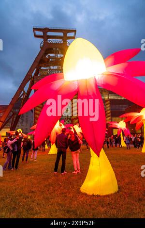 Extraschicht, die lange Nacht der Industriekultur, Kulturfest quer durch das Ruhrgebiet, 35 Spielorte in 19 Städten, hier Leuchtende Blumen Illumination an der Zeche Zollverein in Essen, Doppelbock Fördergerüst Schacht 12, NRW, Deutschland, Extraschicht Zollverein *** Extraschicht, die lange Nacht der Industriekultur, Kulturfestival im Ruhrgebiet, 35 Veranstaltungsorte in 19 Städten, hier leuchtende Blumen in der Zeche Zollverein in Essen, Doppelbock Pithead Wickelturm Schacht 12, NRW, Deutschland, Extraschicht Zollverein Stockfoto