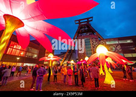 Extraschicht, die lange Nacht der Industriekultur, Kulturfest quer durch das Ruhrgebiet, 35 Spielorte in 19 Städten, hier Leuchtende Blumen Illumination an der Zeche Zollverein in Essen, Doppelbock Fördergerüst Schacht 12, NRW, Deutschland, Extraschicht Zollverein *** Extraschicht, die lange Nacht der Industriekultur, Kulturfestival im Ruhrgebiet, 35 Veranstaltungsorte in 19 Städten, hier leuchtende Blumen in der Zeche Zollverein in Essen, Doppelbock Pithead Wickelturm Schacht 12, NRW, Deutschland, Extraschicht Zollverein Stockfoto