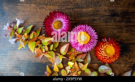 Buntes Herbstlaub und Beeren auf rustikaler Holzoberfläche, perfekt für saisonale oder naturbelassene Designs. Stockfoto