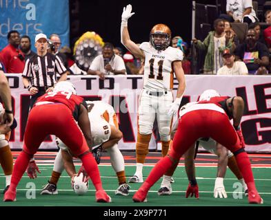 Jacksonville, Florida, USA. Juni 2024. Indoor Football League, Jacksonville Sharks gegen Arizona Rattlers. Rattlers QB Dalton Sneed (11) macht eine Geste vor dem Einrasten. Foto: Tim Davis/Alamy Live News Stockfoto