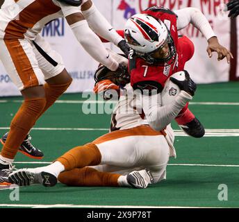 Jacksonville, Florida, USA. Juni 2024. Indoor Football League, Jacksonville Sharks gegen Arizona Rattlers. Haie QB N’Kosi Perry (7) wird von Rattlers DB Davontae Merriweather (8) angegriffen. Foto: Tim Davis/Alamy Live News Stockfoto