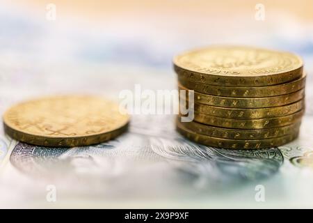 polnische Zloty-Banknoten und -Münzen Stockfoto