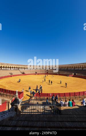 Sevilla, Spanien - 24. Oktober 2023 - Plaza de Toros de la Real Maestranza de Caballería de Sevilla Stierkampfring, Wahrzeichen der Stadt. Stockfoto